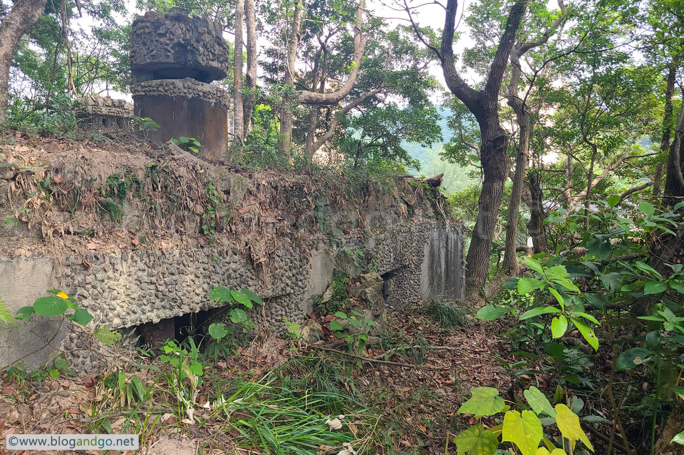 War Time Trail - Southern Face of PB3 Looking East.jpg